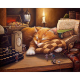 Paint by Numbers Sleepy Cat Canvas Painting Kit